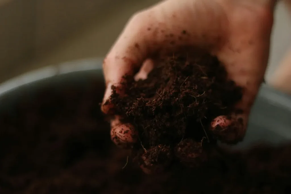 Iemand maakt de grond klaar om een groenteplantje in de tuin als eerste stap naar zelfvoorzienend leven