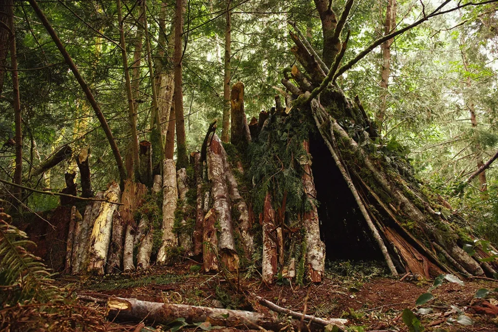 Een survival shelter in het bos gemaakt van boomstronken