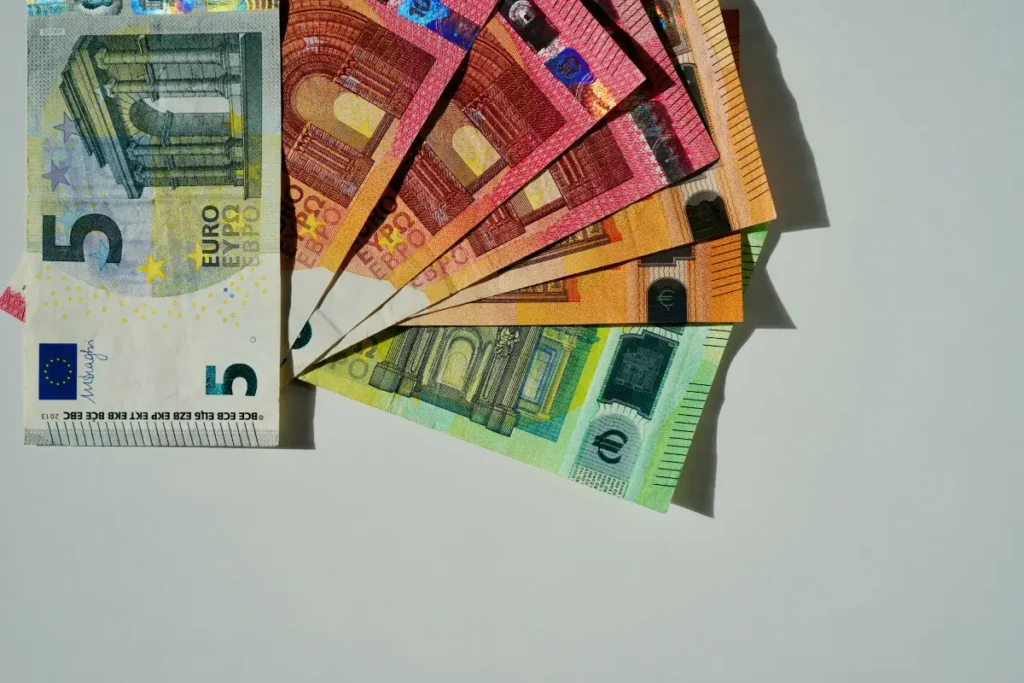 Iemand telt eurobiljetten voor noodsituatie