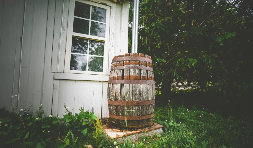 Regenwateropvang systeem voor off grid leven en watervoorziening