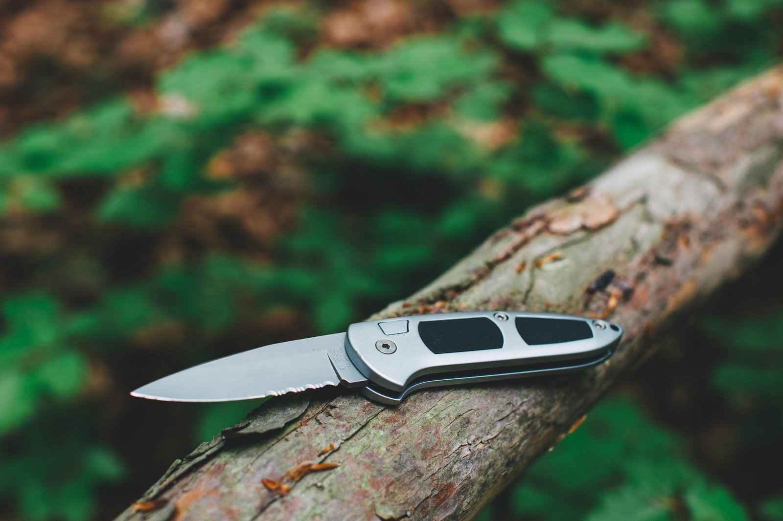 Opengeklapt zakmes op een boomstam in het bos